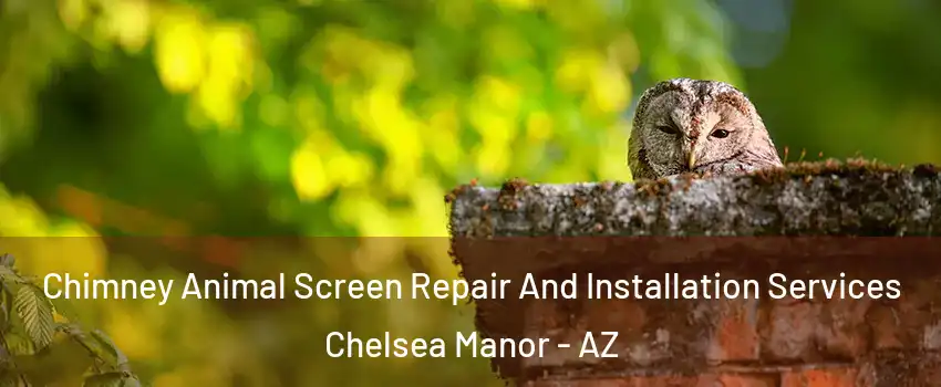 Chimney Animal Screen Repair And Installation Services Chelsea Manor - AZ