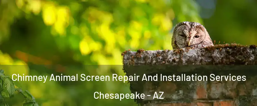 Chimney Animal Screen Repair And Installation Services Chesapeake - AZ