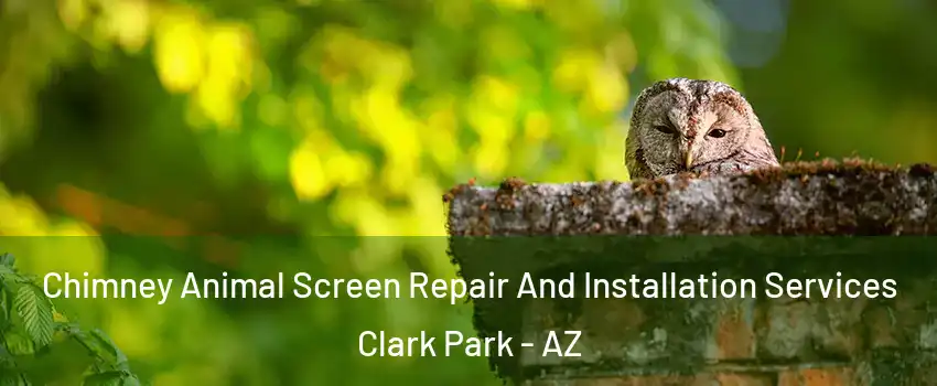 Chimney Animal Screen Repair And Installation Services Clark Park - AZ