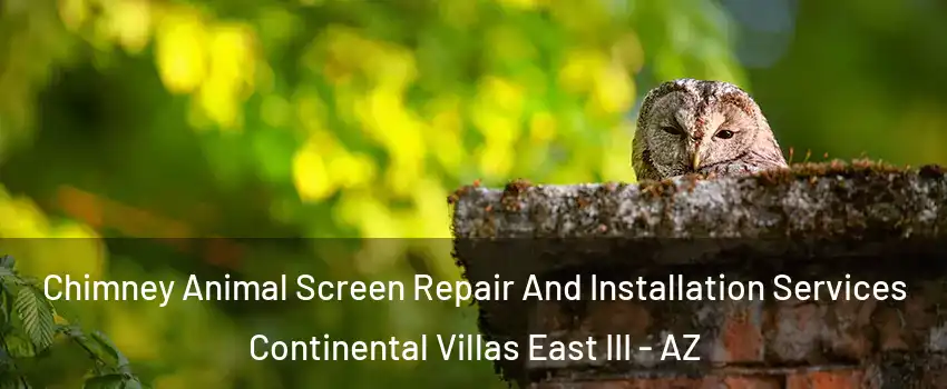 Chimney Animal Screen Repair And Installation Services Continental Villas East III - AZ
