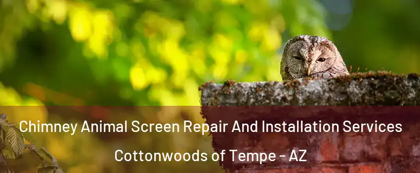 Chimney Animal Screen Repair And Installation Services Cottonwoods of Tempe - AZ
