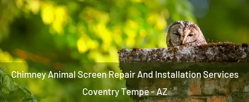 Chimney Animal Screen Repair And Installation Services Coventry Tempe - AZ