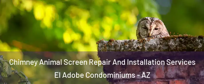 Chimney Animal Screen Repair And Installation Services El Adobe Condominiums - AZ