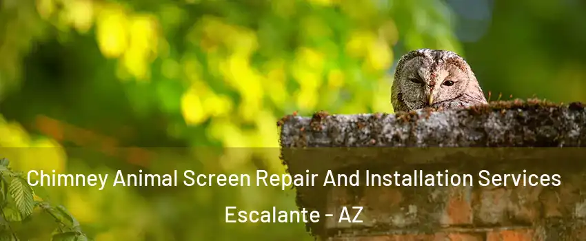 Chimney Animal Screen Repair And Installation Services Escalante - AZ