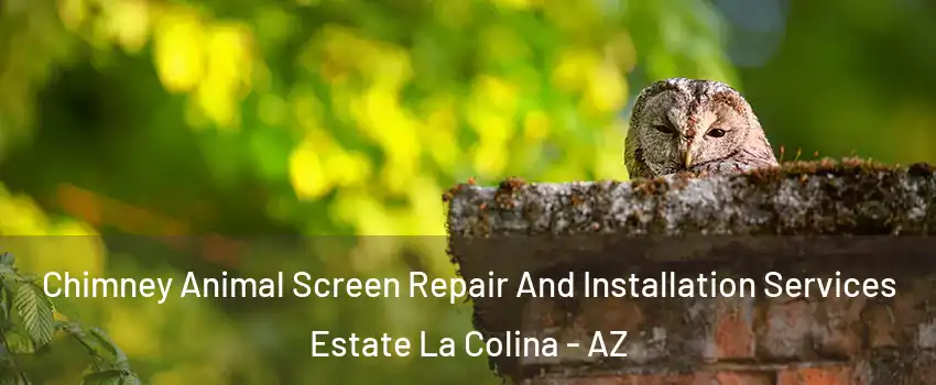 Chimney Animal Screen Repair And Installation Services Estate La Colina - AZ