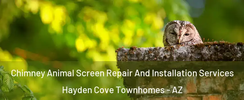 Chimney Animal Screen Repair And Installation Services Hayden Cove Townhomes - AZ