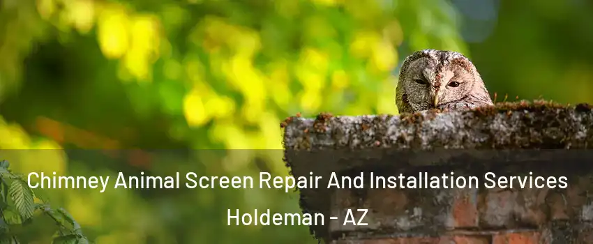 Chimney Animal Screen Repair And Installation Services Holdeman - AZ
