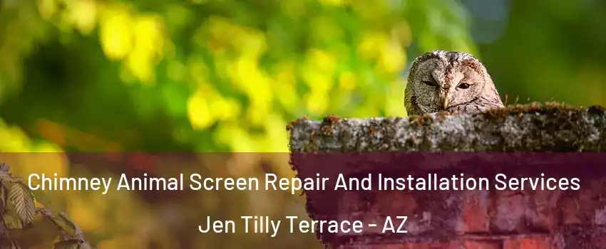Chimney Animal Screen Repair And Installation Services Jen Tilly Terrace - AZ