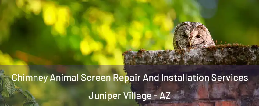 Chimney Animal Screen Repair And Installation Services Juniper Village - AZ