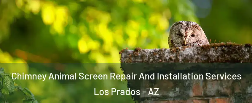 Chimney Animal Screen Repair And Installation Services Los Prados - AZ