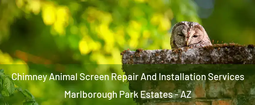 Chimney Animal Screen Repair And Installation Services Marlborough Park Estates - AZ