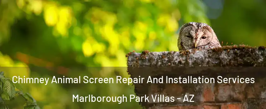 Chimney Animal Screen Repair And Installation Services Marlborough Park Villas - AZ