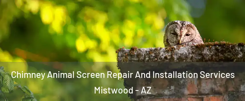Chimney Animal Screen Repair And Installation Services Mistwood - AZ