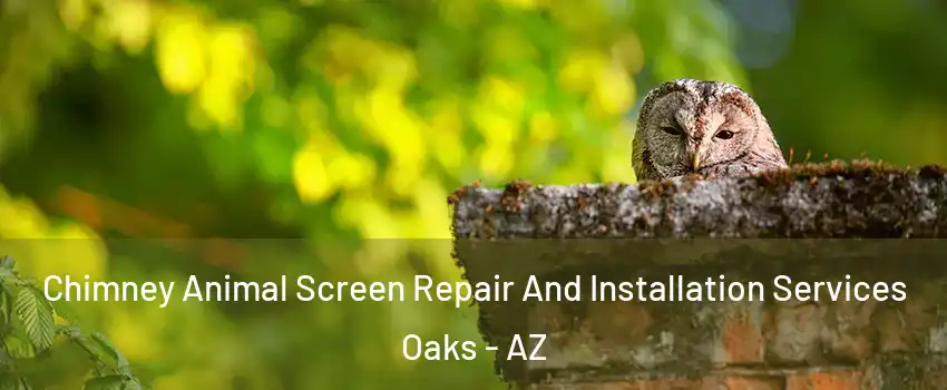 Chimney Animal Screen Repair And Installation Services Oaks - AZ