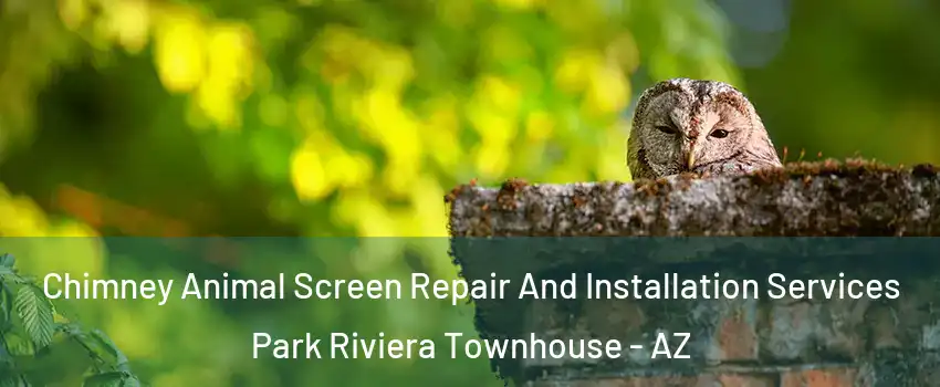 Chimney Animal Screen Repair And Installation Services Park Riviera Townhouse - AZ