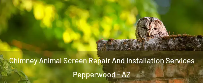 Chimney Animal Screen Repair And Installation Services Pepperwood - AZ