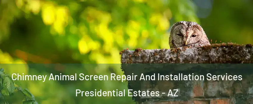 Chimney Animal Screen Repair And Installation Services Presidential Estates - AZ
