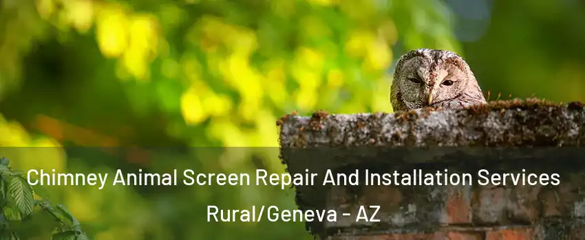 Chimney Animal Screen Repair And Installation Services Rural/Geneva - AZ