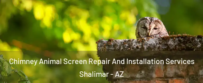 Chimney Animal Screen Repair And Installation Services Shalimar - AZ