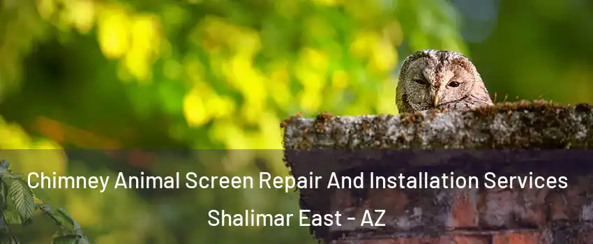 Chimney Animal Screen Repair And Installation Services Shalimar East - AZ
