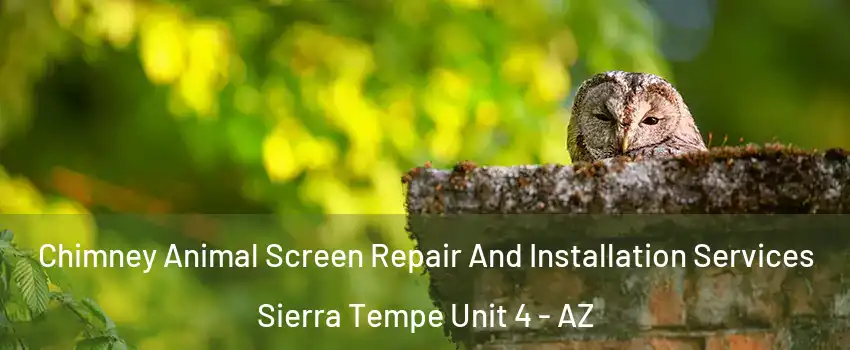 Chimney Animal Screen Repair And Installation Services Sierra Tempe Unit 4 - AZ