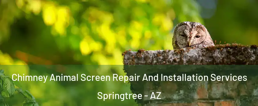 Chimney Animal Screen Repair And Installation Services Springtree - AZ