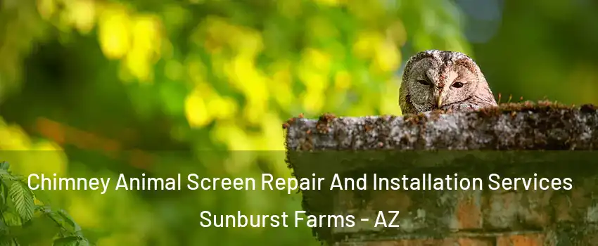 Chimney Animal Screen Repair And Installation Services Sunburst Farms - AZ