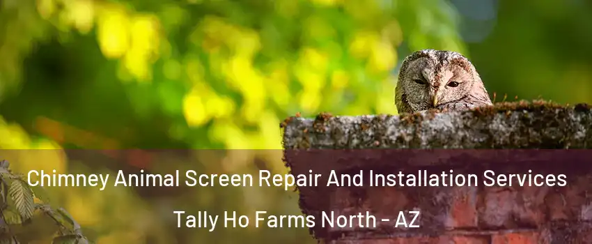 Chimney Animal Screen Repair And Installation Services Tally Ho Farms North - AZ