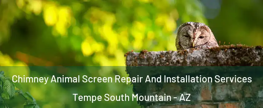 Chimney Animal Screen Repair And Installation Services Tempe South Mountain - AZ