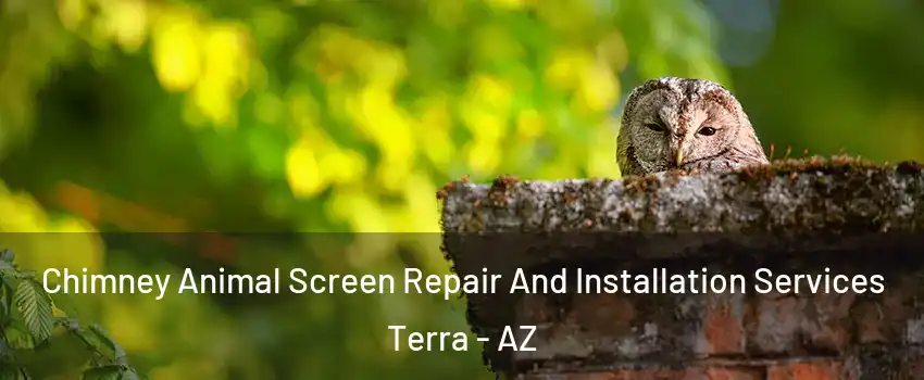 Chimney Animal Screen Repair And Installation Services Terra - AZ