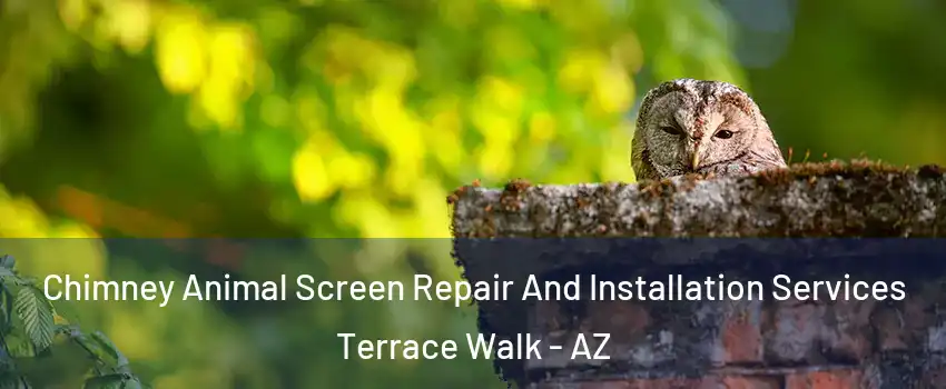 Chimney Animal Screen Repair And Installation Services Terrace Walk - AZ