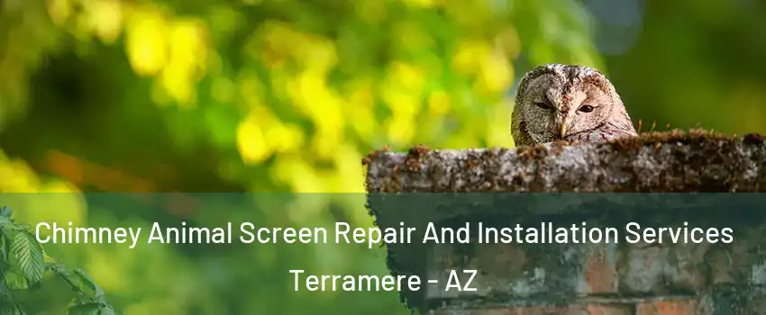 Chimney Animal Screen Repair And Installation Services Terramere - AZ