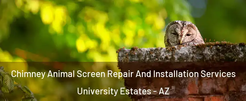 Chimney Animal Screen Repair And Installation Services University Estates - AZ