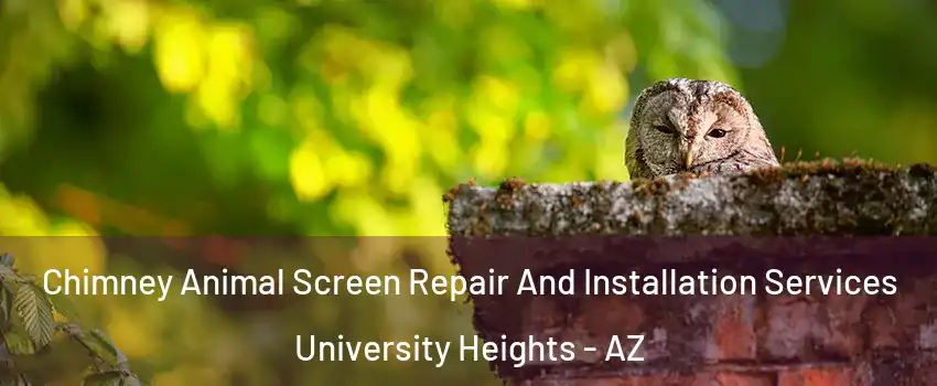 Chimney Animal Screen Repair And Installation Services University Heights - AZ