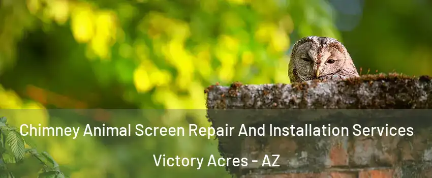 Chimney Animal Screen Repair And Installation Services Victory Acres - AZ
