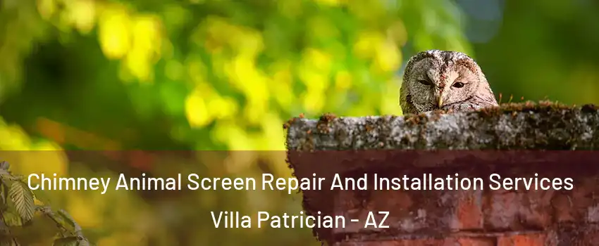 Chimney Animal Screen Repair And Installation Services Villa Patrician - AZ
