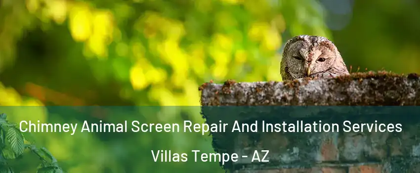 Chimney Animal Screen Repair And Installation Services Villas Tempe - AZ