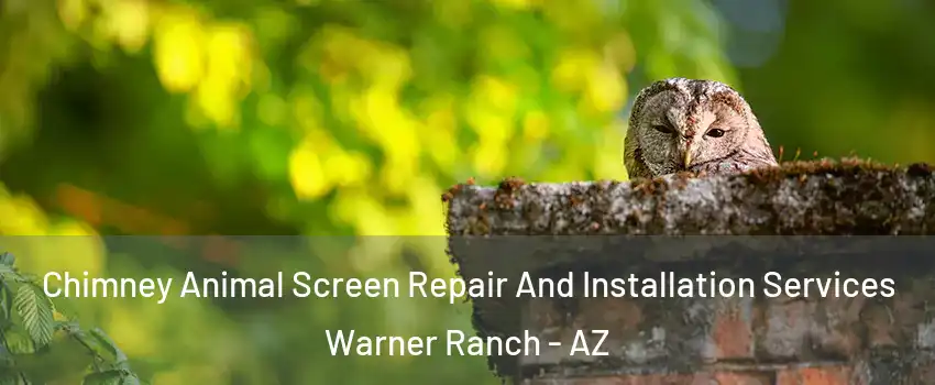 Chimney Animal Screen Repair And Installation Services Warner Ranch - AZ