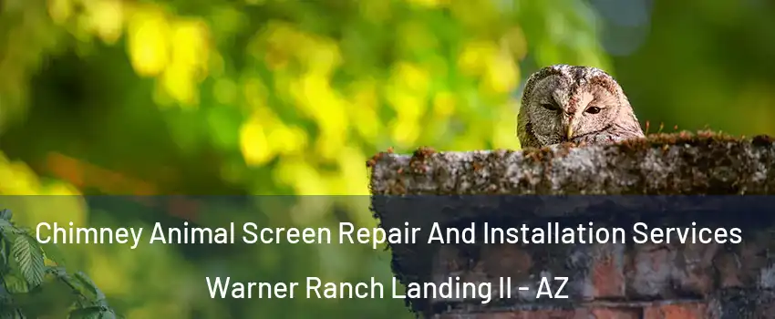 Chimney Animal Screen Repair And Installation Services Warner Ranch Landing II - AZ