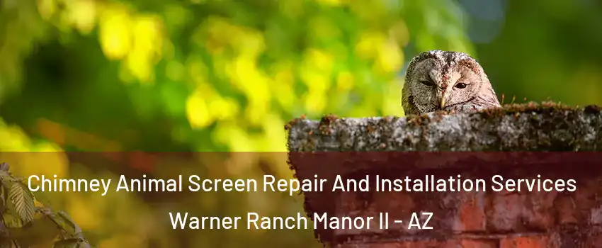 Chimney Animal Screen Repair And Installation Services Warner Ranch Manor II - AZ