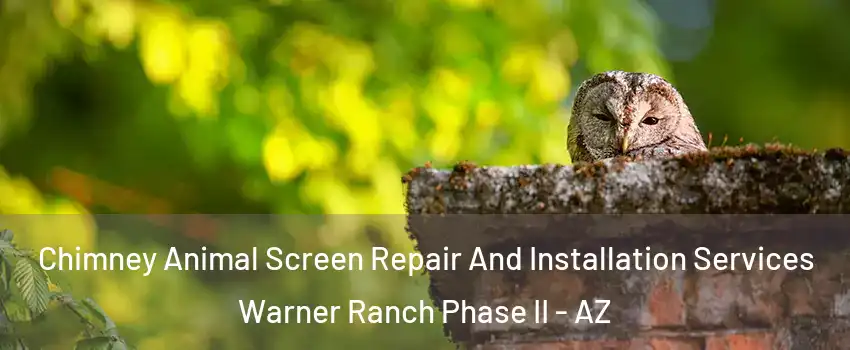 Chimney Animal Screen Repair And Installation Services Warner Ranch Phase II - AZ