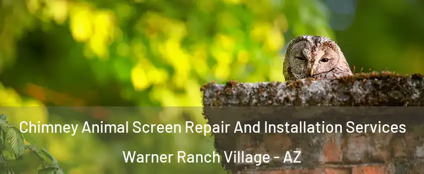 Chimney Animal Screen Repair And Installation Services Warner Ranch Village - AZ