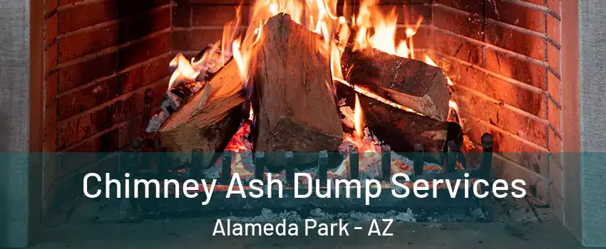 Chimney Ash Dump Services Alameda Park - AZ