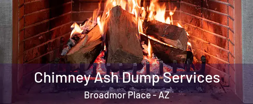 Chimney Ash Dump Services Broadmor Place - AZ