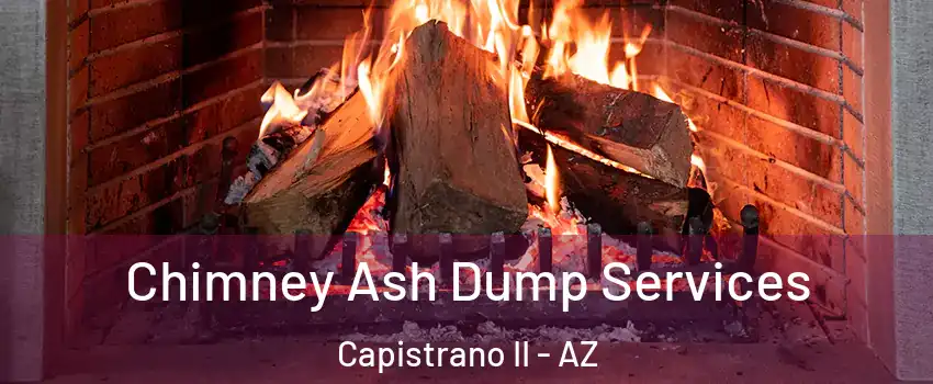 Chimney Ash Dump Services Capistrano II - AZ