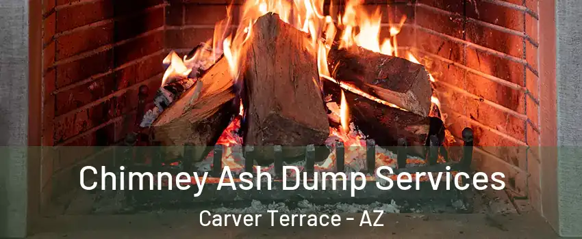 Chimney Ash Dump Services Carver Terrace - AZ