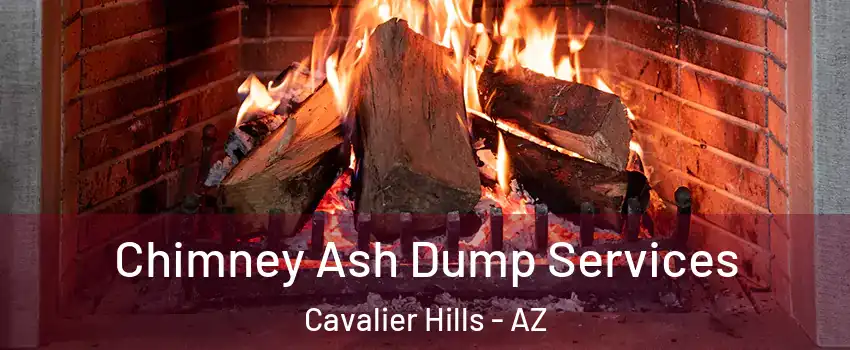 Chimney Ash Dump Services Cavalier Hills - AZ