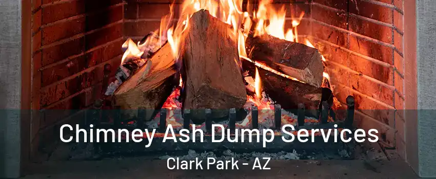 Chimney Ash Dump Services Clark Park - AZ
