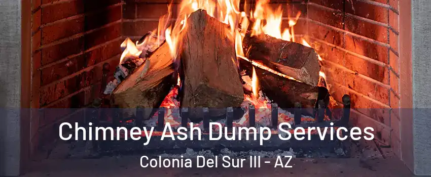 Chimney Ash Dump Services Colonia Del Sur III - AZ