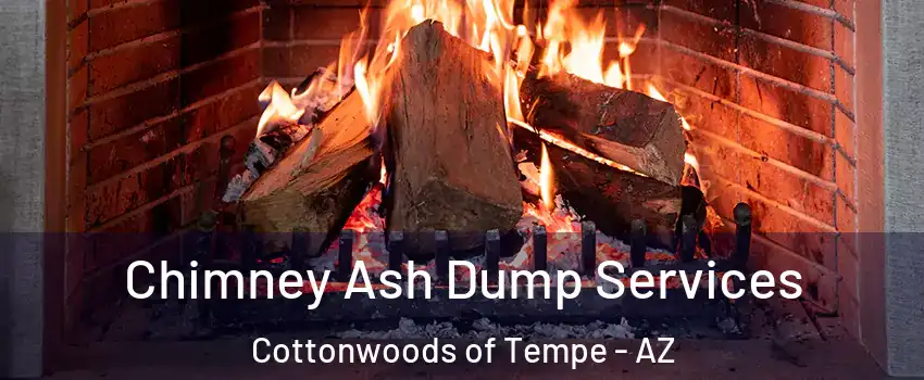 Chimney Ash Dump Services Cottonwoods of Tempe - AZ